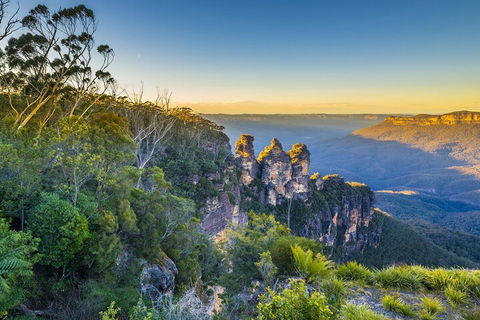 Blue Mountains Private Tour With Kangaroos & Koala Encounter - Nambucca Heads Accommodation 5