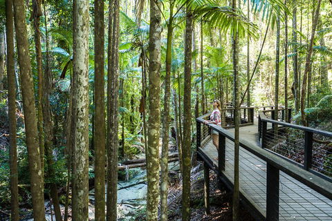 All-Inclusive Fraser Island Day Tour - Nambucca Heads Accommodation 5
