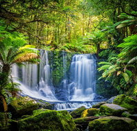 Day Tour in Mt. Field Mt. Wellington Bonorong Wildlife Sanctuary and Richmond - Nambucca Heads Accommodation