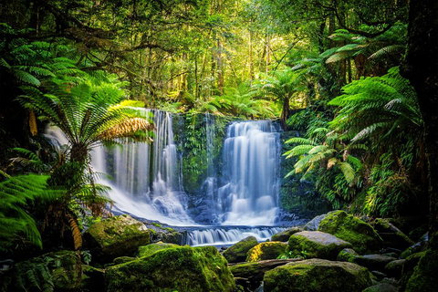 Day Tour In Mt. Field, Mt. Wellington, Bonorong Wildlife Sanctuary And Richmond - Nambucca Heads Accommodation 0