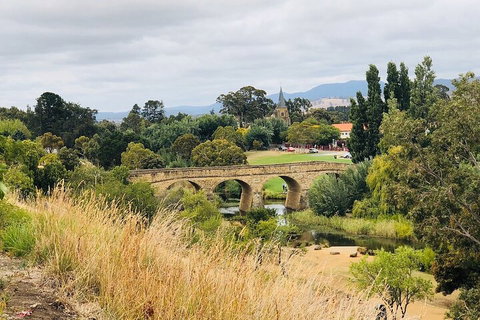 Day Tour In Mt. Field, Mt. Wellington, Bonorong Wildlife Sanctuary And Richmond - Nambucca Heads Accommodation 3