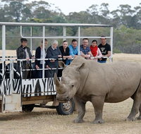 Off-Road Safari at Werribee Open Range Zoo