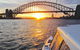 Sunset And Sparkle Sydney Harbour Cruise - thumb 3