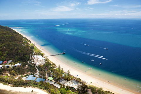 Tangalooma Island Resort Whale Watching Day Cruise - Nambucca Heads Accommodation 3