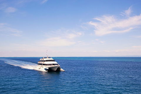 Tangalooma Island Resort Whale Watching Day Cruise - Nambucca Heads Accommodation 5