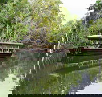 Hartley's Crocodile Adventures Breakfast with the Koalas - Nambucca Heads Accommodation