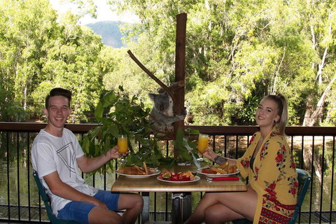 Hartley's Crocodile Adventures Breakfast With The Koalas - Nambucca Heads Accommodation 5