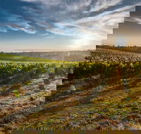 Perth to Margaret River Wine Tour - 2 Day Premium Boutique Wine Tour Experience - Nambucca Heads Accommodation