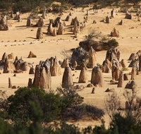 Pinnacles Sunset Dinner and Stargazing Experience a Small Group Tour - Nambucca Heads Accommodation