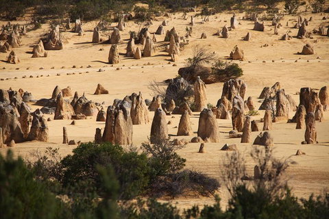 Pinnacles Sunset Dinner And Stargazing Experience A Small Group Tour - Nambucca Heads Accommodation 0