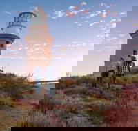 6-Day Coral Coaster from Perth to Exmouth One-Way via Monkey Mia Ningaloo Reef - Nambucca Heads Accommodation