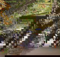 Adelaide Highlights Hahndorf  McLaren Vale Wine Tasting and Sightseeing Tour - Nambucca Heads Accommodation