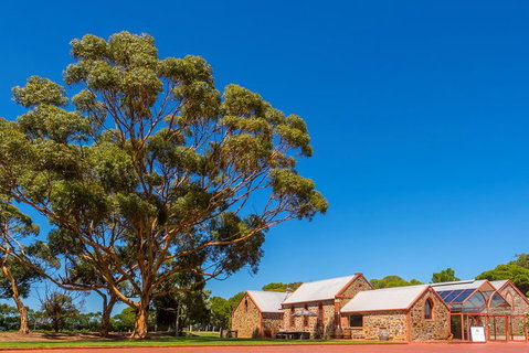 McLaren Vale And Glenelg Wine Tasting And Sightseeing (Half-day Afternoon) - Nambucca Heads Accommodation 5