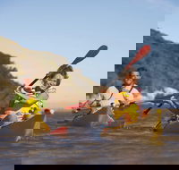 Kangaroo Island Self-Guided Kayaking on the Harriet River - Nambucca Heads Accommodation