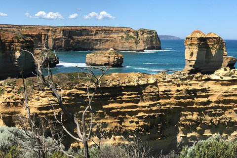 Great Ocean Road Reverse Itinerary Tour - Nambucca Heads Accommodation 1