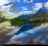 Noosa Everglades Serenity Cruise  Highlights Tour Inc. Lunch  Cruise - Nambucca Heads Accommodation