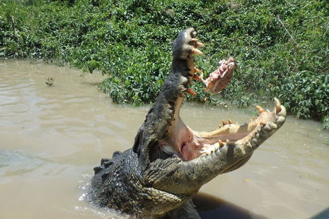 Litchfield And Jumping Crocodiles Full Day Trip From Darwin - Nambucca Heads Accommodation 3