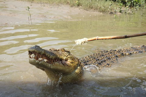 Litchfield And Jumping Crocodiles Full Day Trip From Darwin - Nambucca Heads Accommodation 4