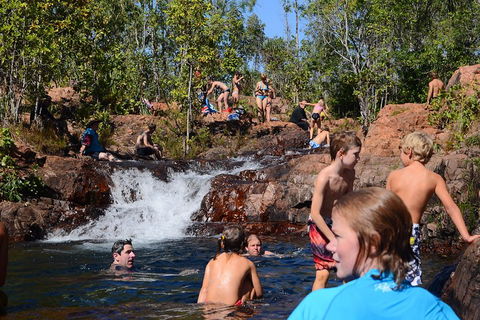 Litchfield And Jumping Crocodiles Full Day Trip From Darwin - Nambucca Heads Accommodation 5