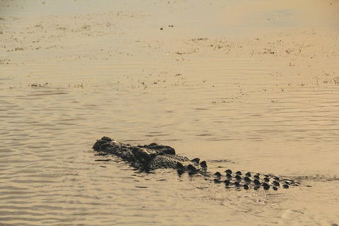 Yellow Water Cruise - Kakadu - Nambucca Heads Accommodation 2
