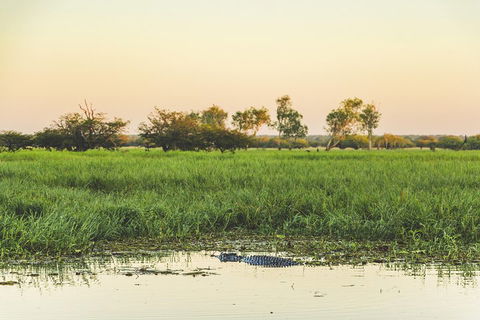 Yellow Water Cruise - Kakadu - Nambucca Heads Accommodation 3