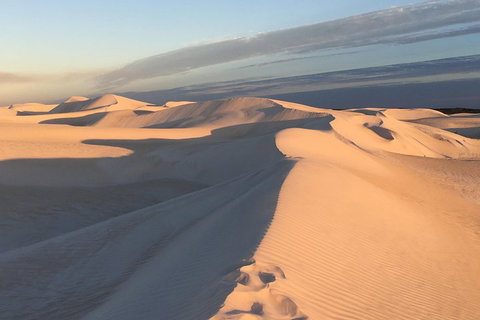 Pinnacles Desert Private Tour - Nambucca Heads Accommodation 1