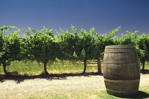 Pinnacles Desert Private Tour - Nambucca Heads Accommodation 5