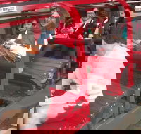 Blue Mountains Private Tour with Wildlife Park and River Cruise - Nambucca Heads Accommodation