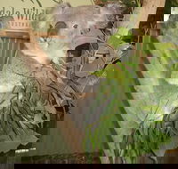 Blue Mountains Private Full-Day Tour from Sydney with Cruise - Nambucca Heads Accommodation