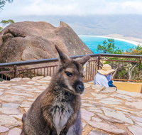 Wineglass Bay  Freycinet NP Full Day Tour from Hobart via Richmond Village - Nambucca Heads Accommodation