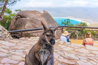 Book Viator Accommodation Vacations Nambucca Heads Accommodation Nambucca Heads Accommodation