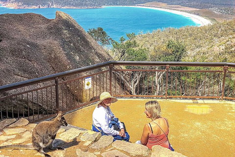 Wineglass Bay & Freycinet NP Full Day Tour From Hobart Via Richmond Village - Nambucca Heads Accommodation 1