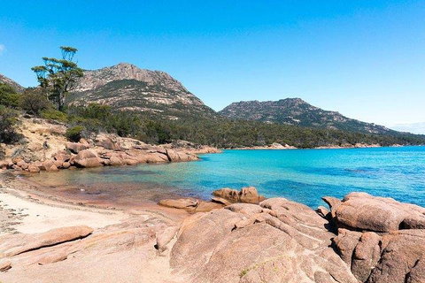 Wineglass Bay & Freycinet NP Full Day Tour From Hobart Via Richmond Village - Nambucca Heads Accommodation 5