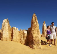 Pinnacles Day Trip from Perth Including Yanchep National Park - Nambucca Heads Accommodation