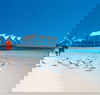 Margaret River and Geographe Bay Region Day Trip from Perth - Nambucca Heads Accommodation