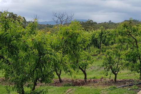 Yarra Valley Wineries And Rayners Orchard Tour From Melbourne - Nambucca Heads Accommodation 2