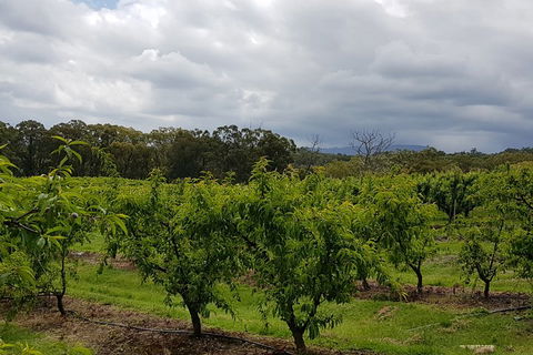 Yarra Valley Wineries And Rayners Orchard Tour From Melbourne - Nambucca Heads Accommodation 4