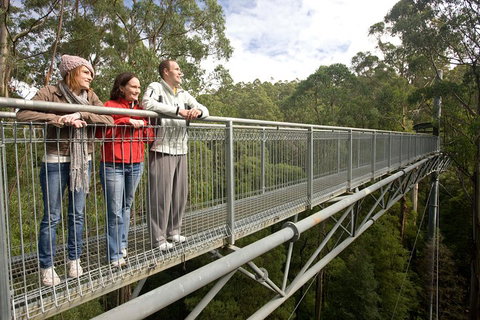 Adventure Sunset Three Day Great Ocean Road Tour - Nambucca Heads Accommodation 0