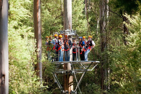 Adventure Sunset Three Day Great Ocean Road Tour - Nambucca Heads Accommodation 1