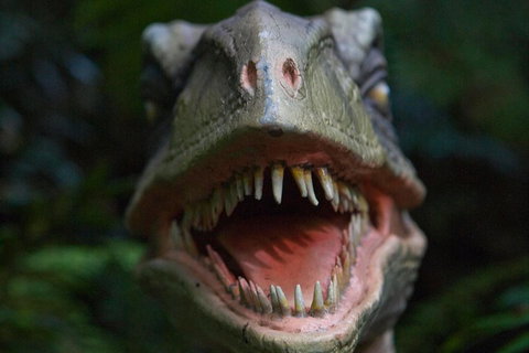 Adventure Sunset Three Day Great Ocean Road Tour - Nambucca Heads Accommodation 3