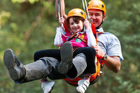 Adventure Sunset Three Day Great Ocean Road Tour - Nambucca Heads Accommodation 4