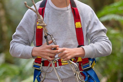 Adventure Sunset Three Day Great Ocean Road Tour - Nambucca Heads Accommodation 5