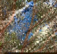 Kangaroo Island 4WD Tour - Best of KI in 2 Days - Nambucca Heads Accommodation