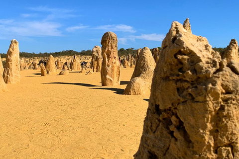 Pinnacles Desert (Private) Day Tour - Nambucca Heads Accommodation 0