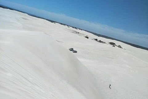 Yanchep & Lancelin - Wildlife, Cave And Sands - Nambucca Heads Accommodation 3