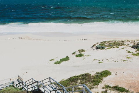 Yanchep & Lancelin - Wildlife, Cave And Sands - Nambucca Heads Accommodation 5