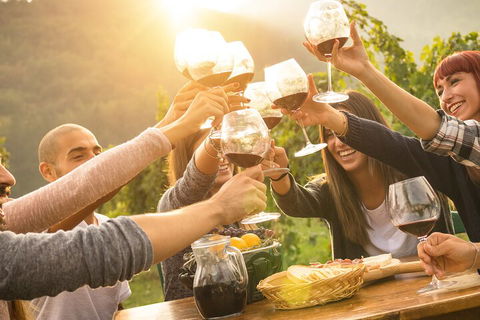 Yarra Valley, Dandenong Ranges Inc. Lunch With Wine,plus Morning Tea,chocolate - Nambucca Heads Accommodation 4