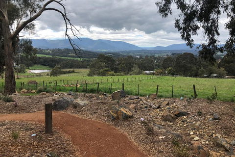 Yarra Valley Wine Tour Inc Lunch With A Glass Of Wine, Tastings And Chocolate - Nambucca Heads Accommodation 0