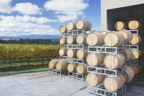 Yarra Valley Wine Tour Inc Lunch With A Glass Of Wine, Tastings And Chocolate - Nambucca Heads Accommodation 4