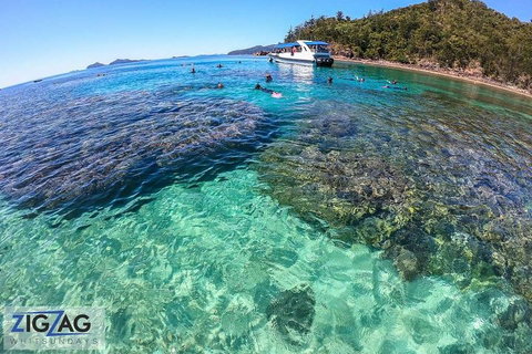 Whitehaven Beach Day Tour With Snorkel In Whitsundays Island - Nambucca Heads Accommodation 5